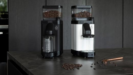 Diferencias entre Granos de Café Arabica y Robusta