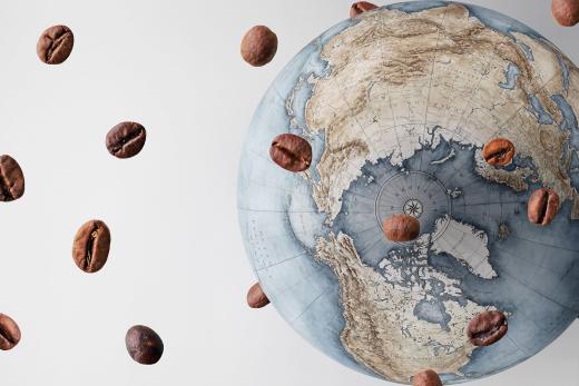 Explorando el Café de Todo el Mundo: Un Viaje Global en Cada Taza